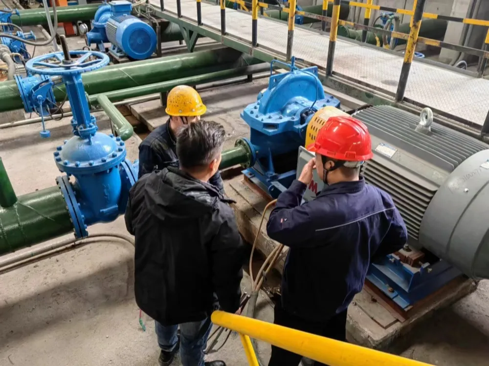 Double suction pump for high-flow irrigation Installation with driver mounted alongside.