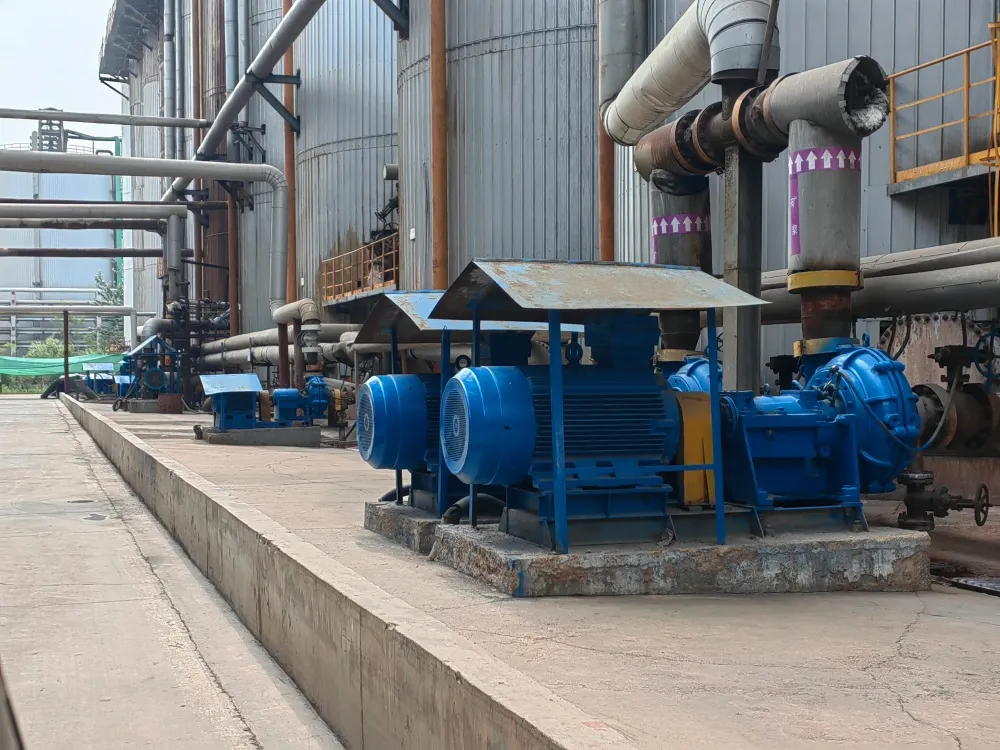 Horizontal Slurry Pumps for Mineral Processing & Tailings