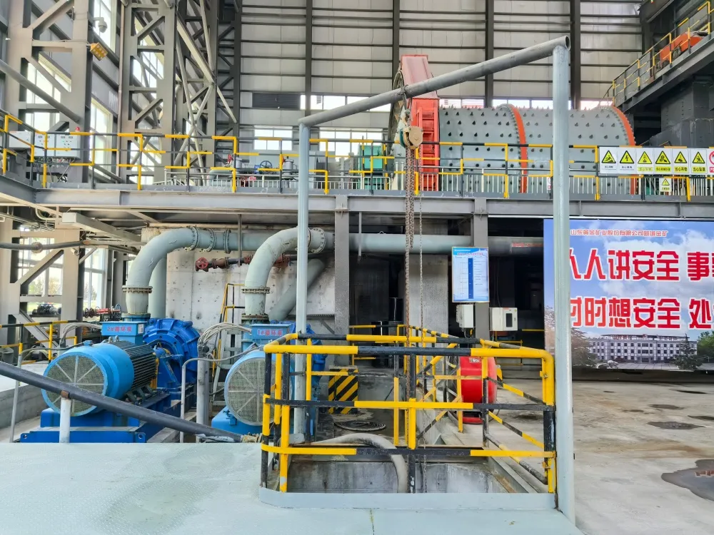 Mineral processing and tailings slurry pump