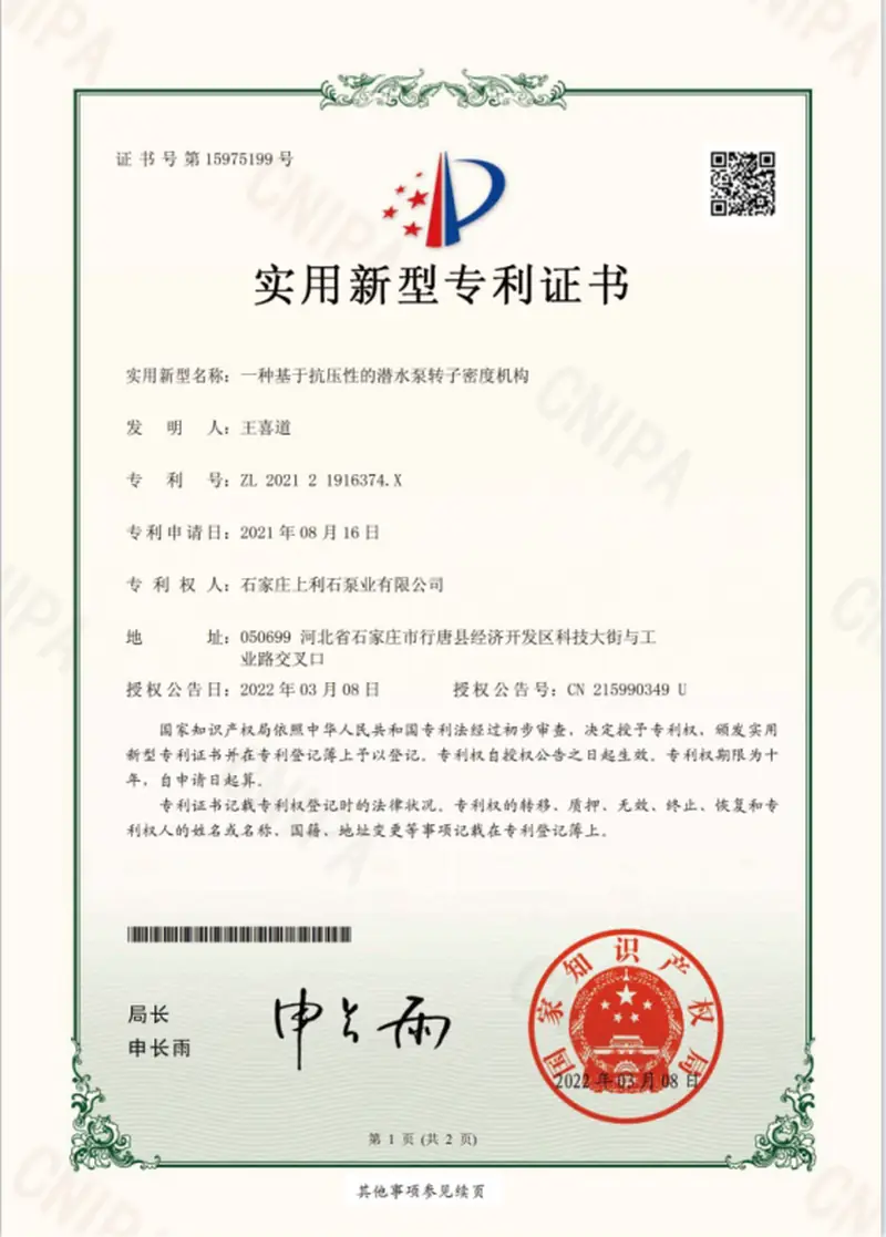 ZL202121916374.X — Pressure-resistant rotor density structure for submersible pumps