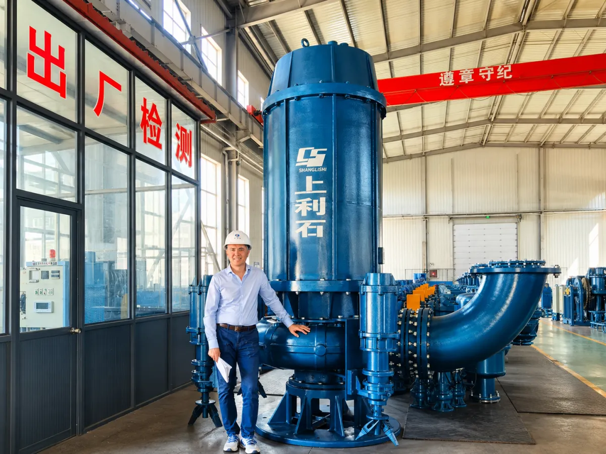 Submersible pumps