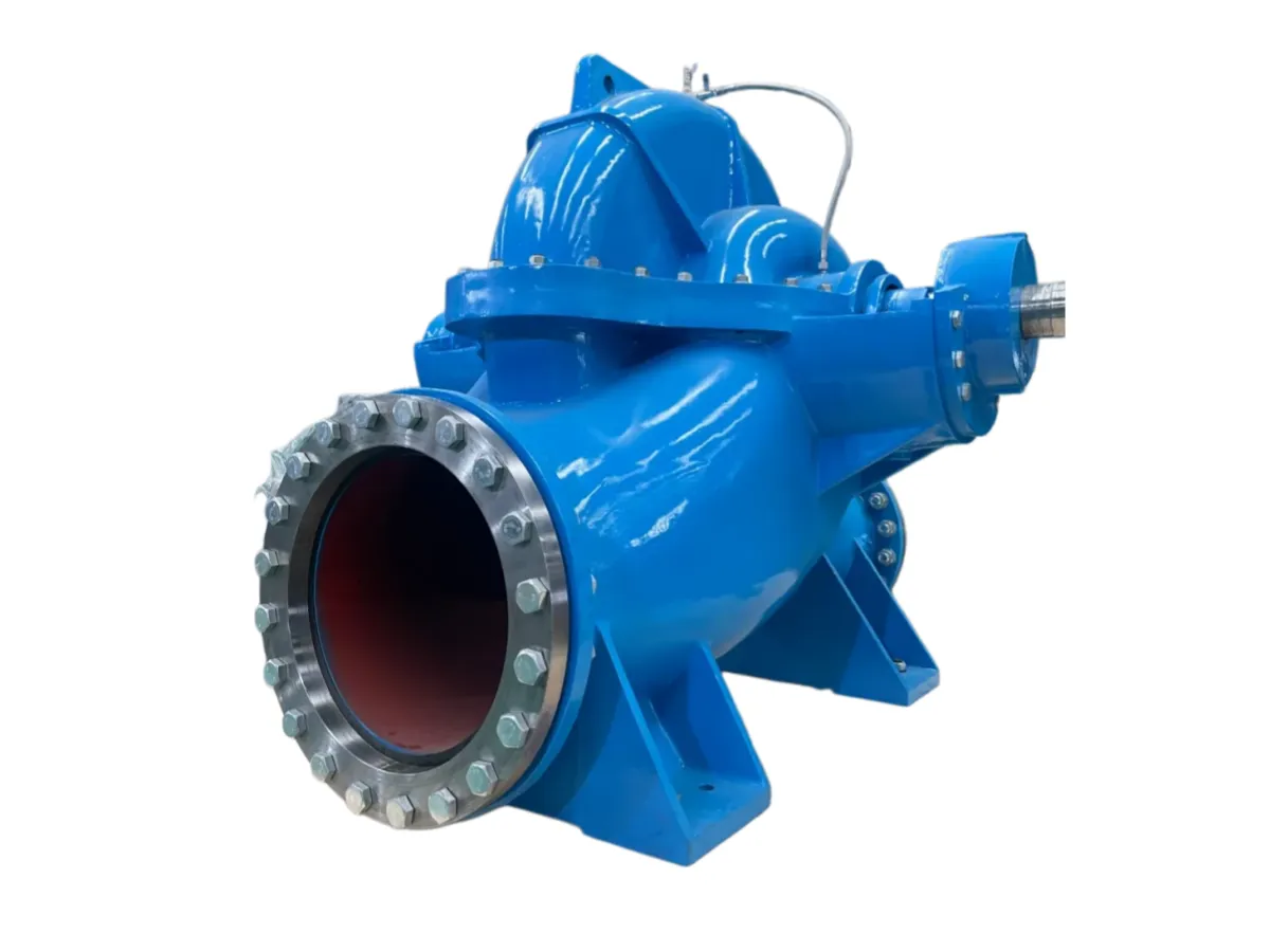 Double suction pump with large-bore suction flange, on white background