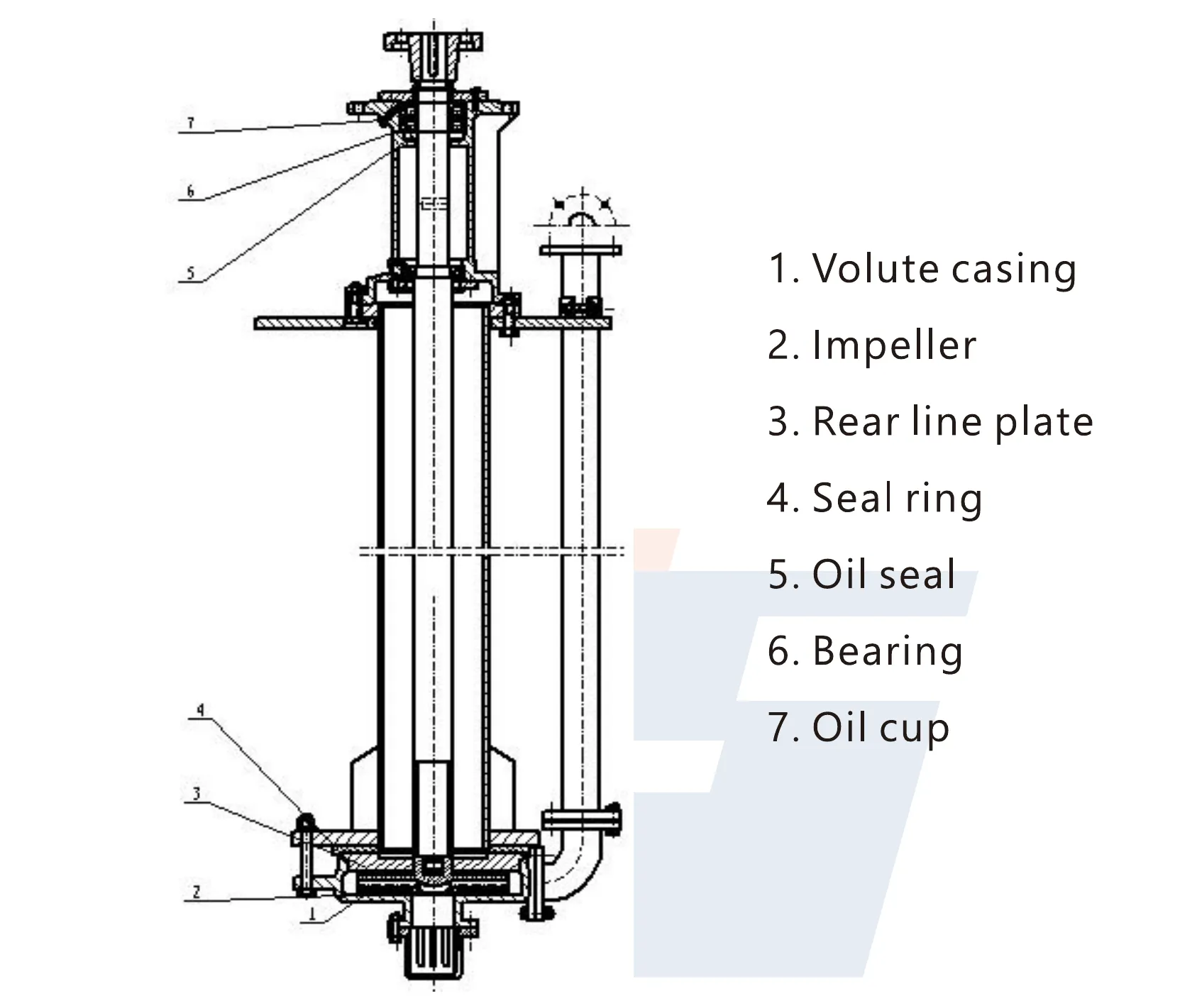 Structural drawing of the SZPL vertical slurry pump, with the volute casing, impeller, rear liner plate and seal ring at the bottom and the bearing, oil seal and oil cup at the top